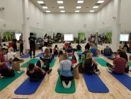 Narayana, центр йоги фото