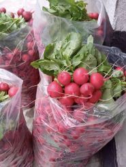 Shop Росло - Магазин сільгосптоварів, магазин садового обладнання фото