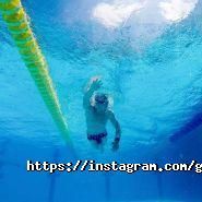 Навіоніка, оптова компанія фото