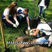 Pravo Garant, юридична компанія фото