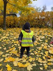Apple Montessori school фото