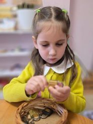 Apple Montessori school фото