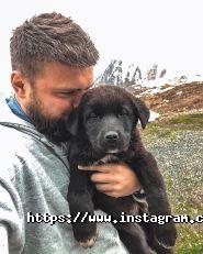 Євген Щербаков, ведучий фото