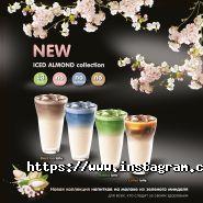 Itis Flowers, кафе фото