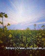 Студія Дениса Давидова, відео, фотозйомка фото