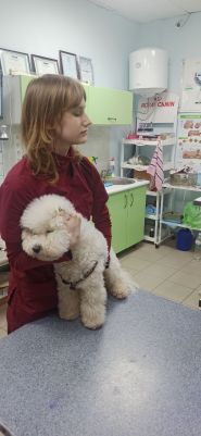 Зоодоктор Олексіївка, ветеринарна клініка фото