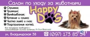 Happy Dog, салон по догляду за тваринами фото