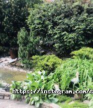 Слобода, ресторан національної кухні фото