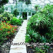 Алмаз, готель фото