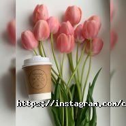 Coffee Bar dp, кав'ярня фото