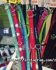 Vetbio, зоомаркет фото