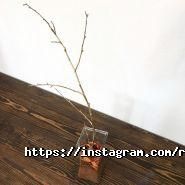 Ricco, кавова студія фото