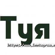 Твоя Туя, магазин растений фото