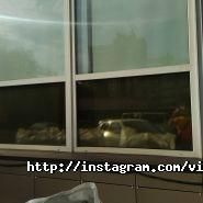 Vikna Ton, тонування та бронювання вікон фото