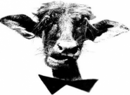 Золоте телятко, бар фото