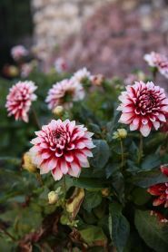 Пікнік, ресторанно-розважальний комплекс фото