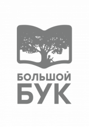 Большой БУК, магазин детских книг и игрушек фото