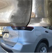 Хамелеон, сто фото