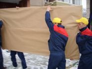 Зебра таксі фото