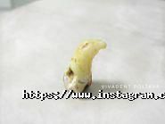 ViVaDent, Стоматологія фото