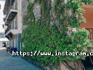 Престиж, база відпочинку фото