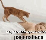 Солька, соляна кімната фото