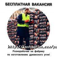 Польська Праця, кадровое агентство по трудоустройству фото