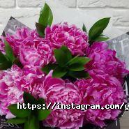 Green Garden фото