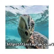 З міста, туристична компанія фото