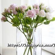 Line Deco, весільний декор та аксесуари фото