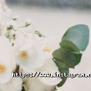 Tulip, весільний салон-агенція фото