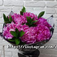 Green Garden фото