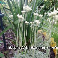 Чарівна, салон краси фото