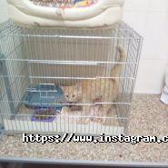 Друг, ветеринарна клініка фото