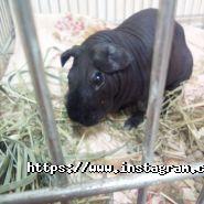 Друг, ветеринарна клініка фото