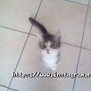 Друг, ветеринарна клініка фото