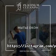Platinum Cleaning фото