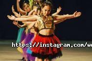 Wild Dancing Cats, танцевальная студия фото