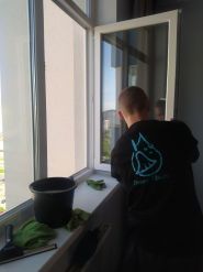 Dream Cleans, клінінг фото