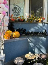 Хвостики, котокафе фото