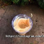 Запад Лед, изготовление и доставка пищевого льда фото