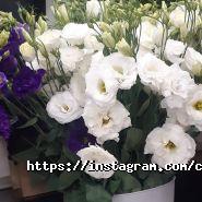 Марина flowers, салон цветов фото