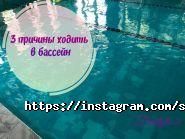FREESTYLE, плавательный клуб фото