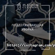 Platinum Cleaning фото