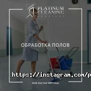 Platinum Cleaning фото