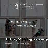 Platinum Cleaning фото