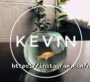 Oxford School Ukraine, школа англійської мови фото