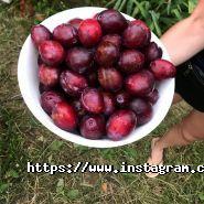 ПростоКвашино, комплекс відпочинку фото