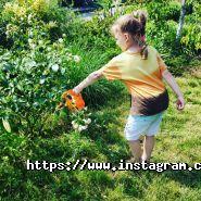 Sunny Bunny, центр розвитку і міні-садок фото