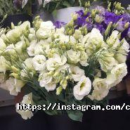 Марина flowers, салон цветов фото